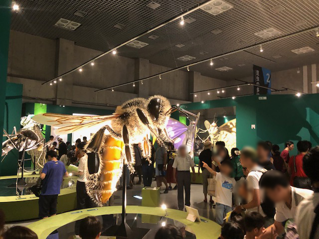 巨大なハチの模型を通じて、昆虫の外見的特徴を知ることができる。