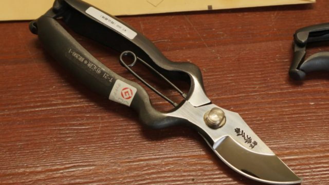 デザイン雑貨 園芸用剪定ばさみを調査する Art Storms